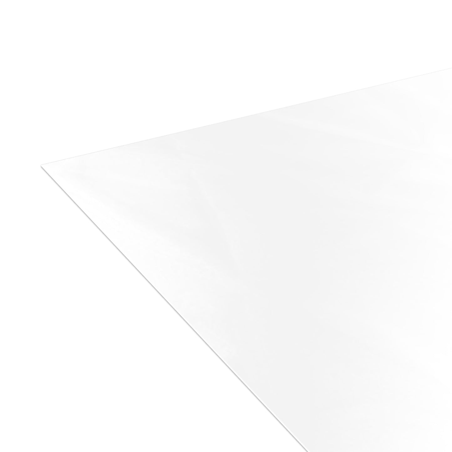 Oyster Notecards (10 and 30pcs)