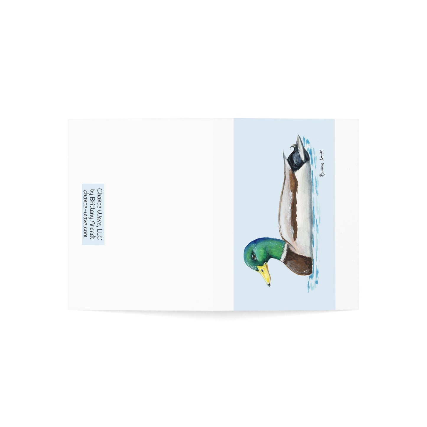 Mallard Note Cards (10 and 30pcs)