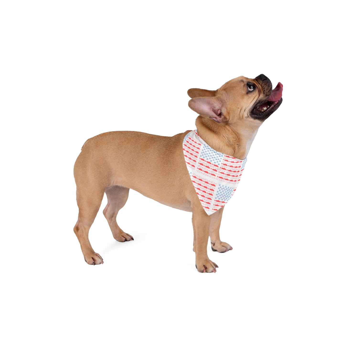 USA Pet Bandana