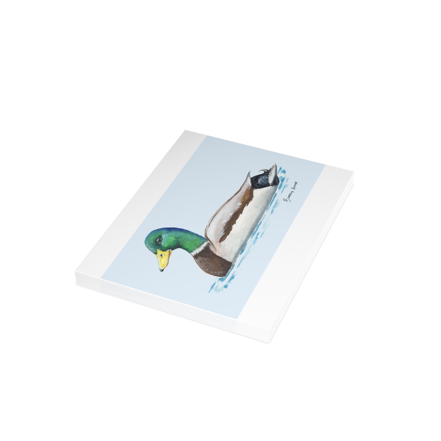 Mallard Note Cards (10 and 30pcs)