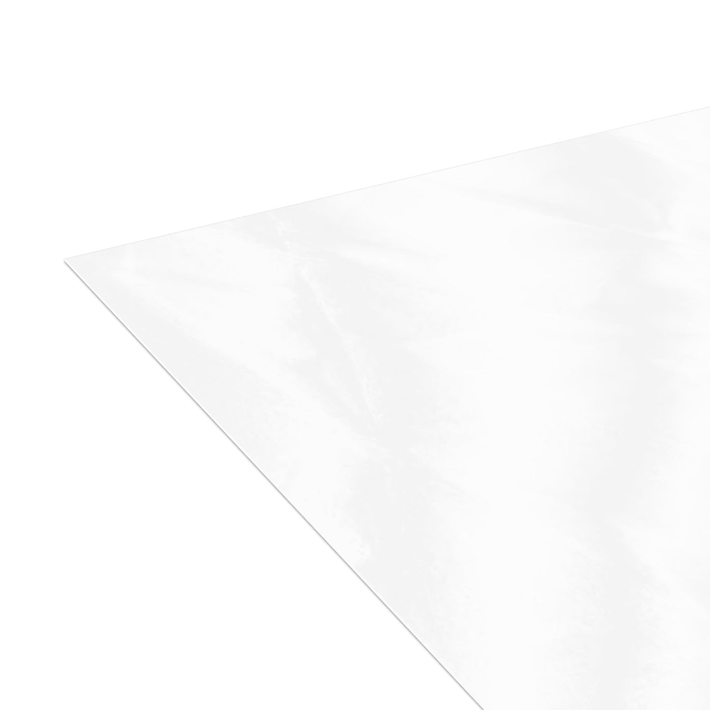 Oyster Notecards (10 and 30pcs)