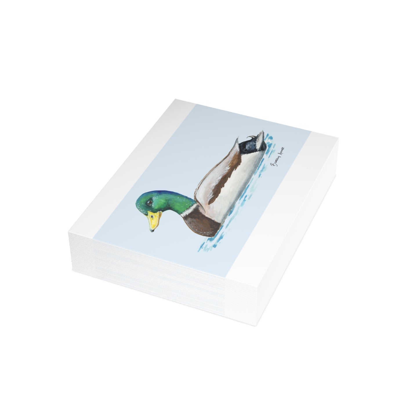 Mallard Note Cards (10 and 30pcs)