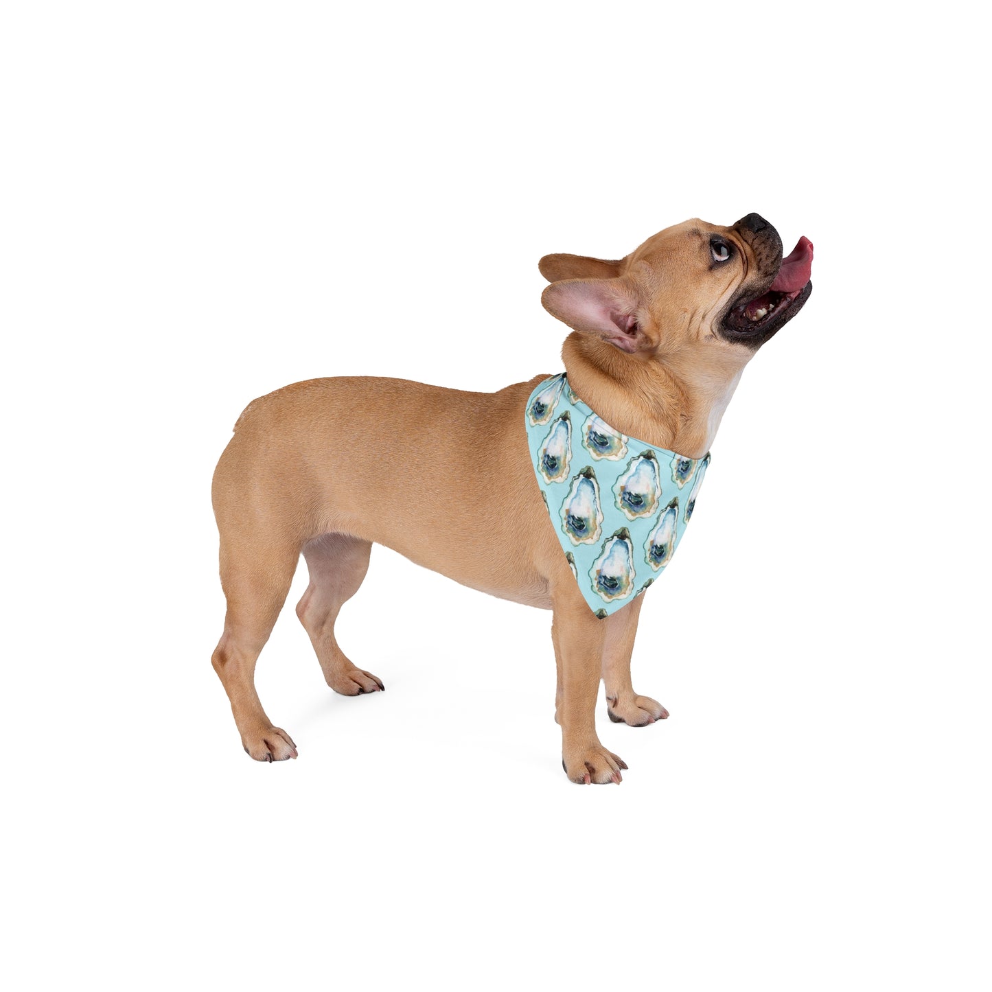 Oyster Pet Bandana