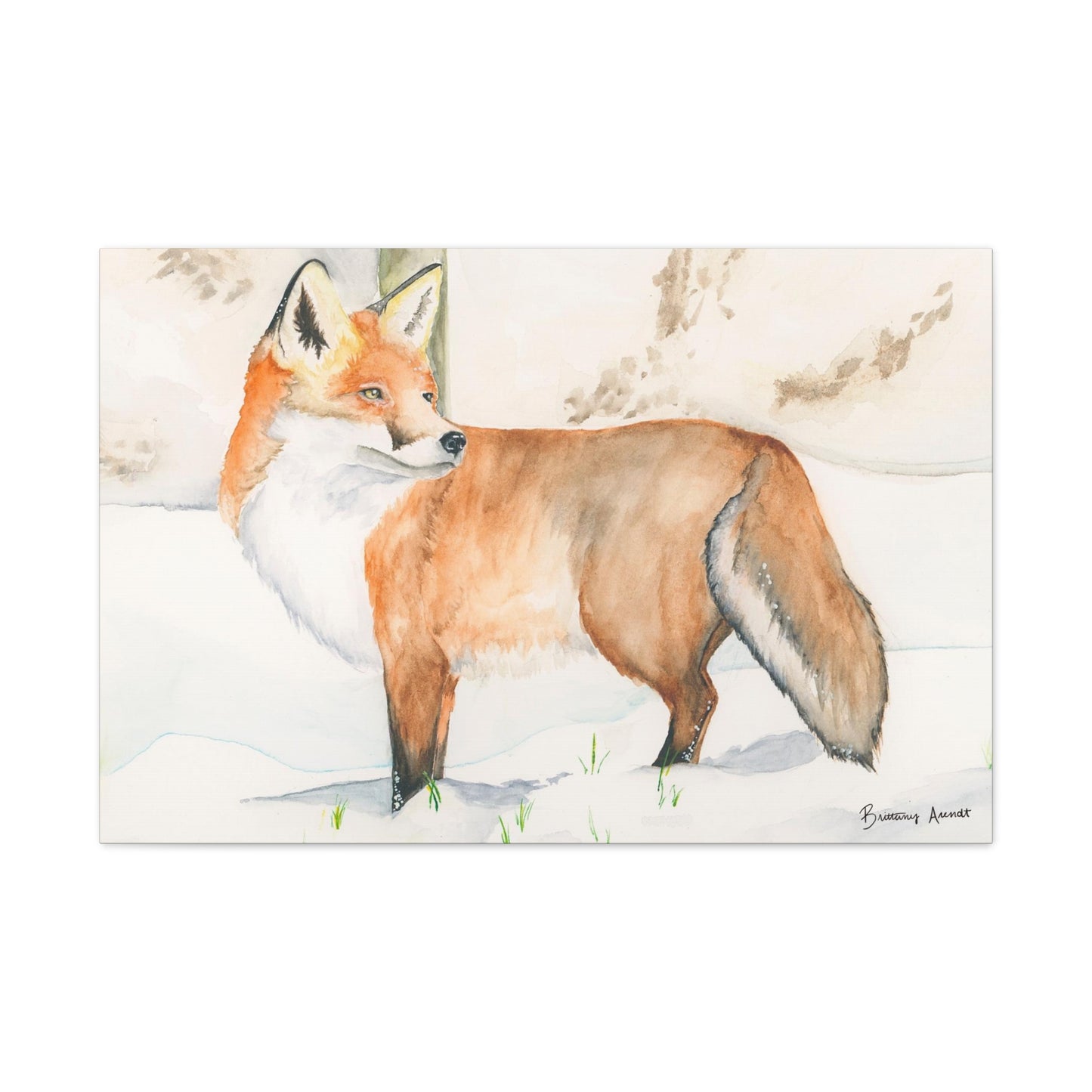 Fox Print Canvas Gallery Wrap