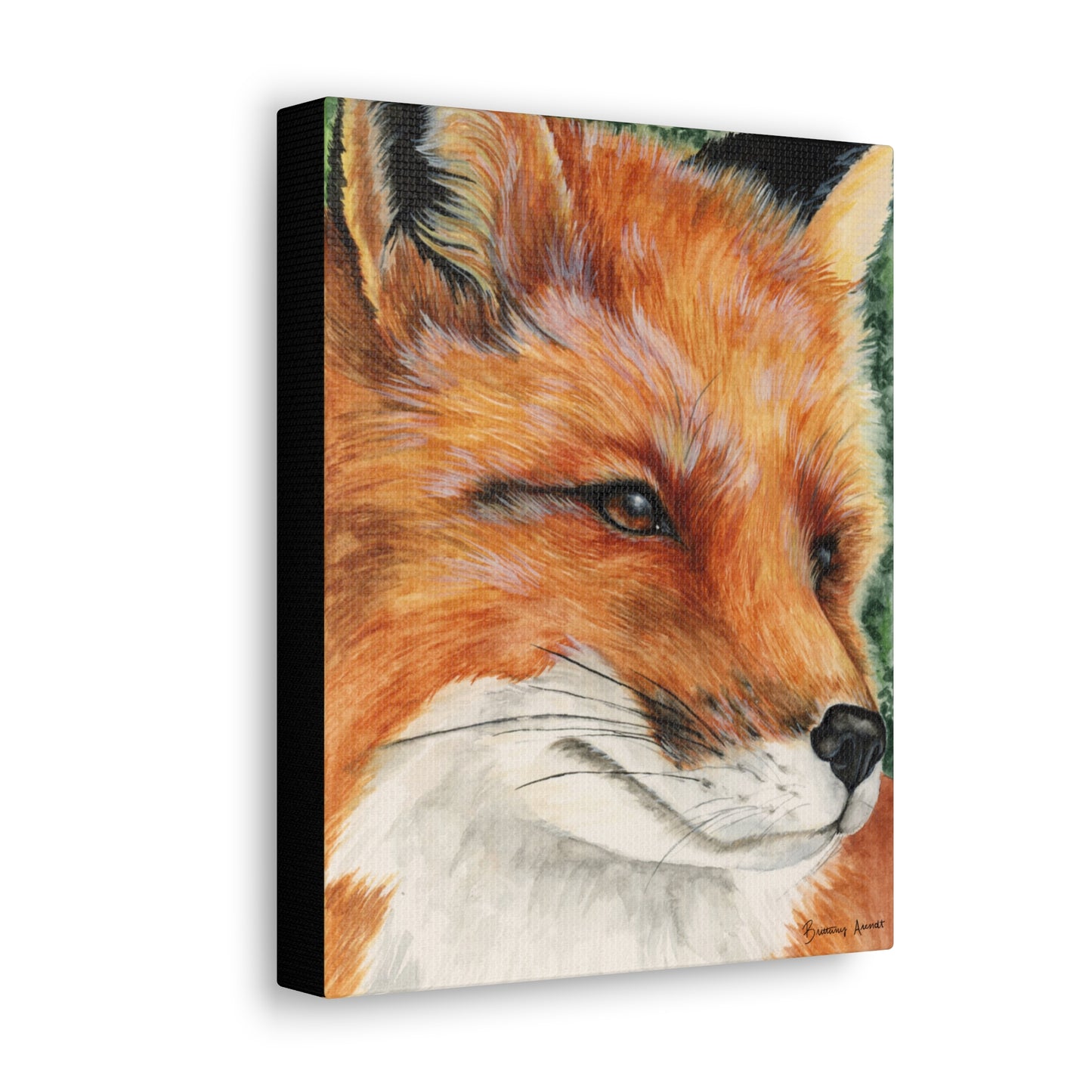 Fox Portrait Gallery Wrap