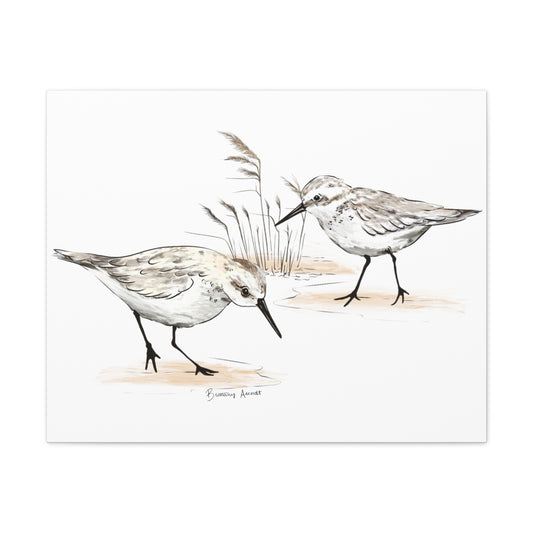 Sand Piper Canvas Gallery Wrap