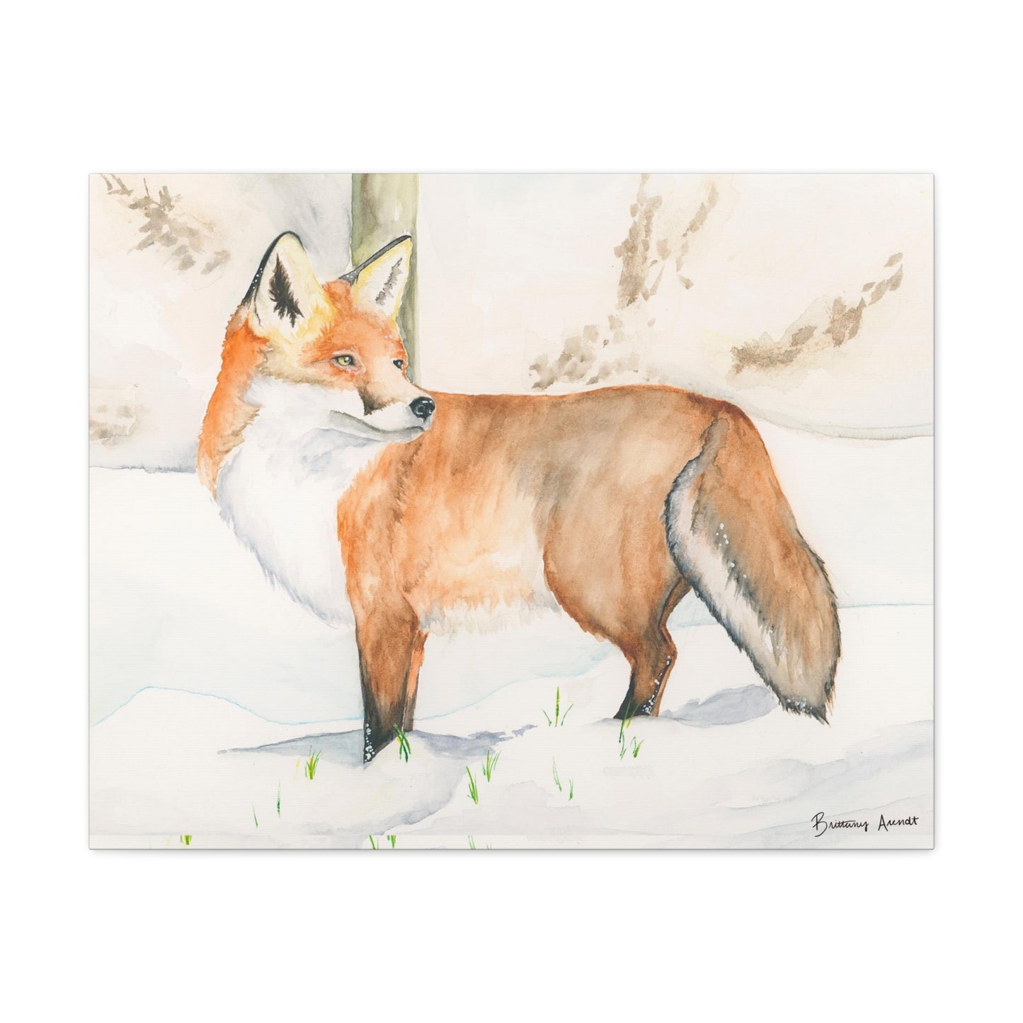 Fox Print Canvas Gallery Wrap