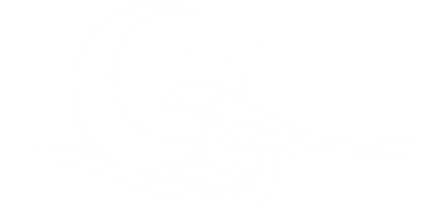 Chance Wave