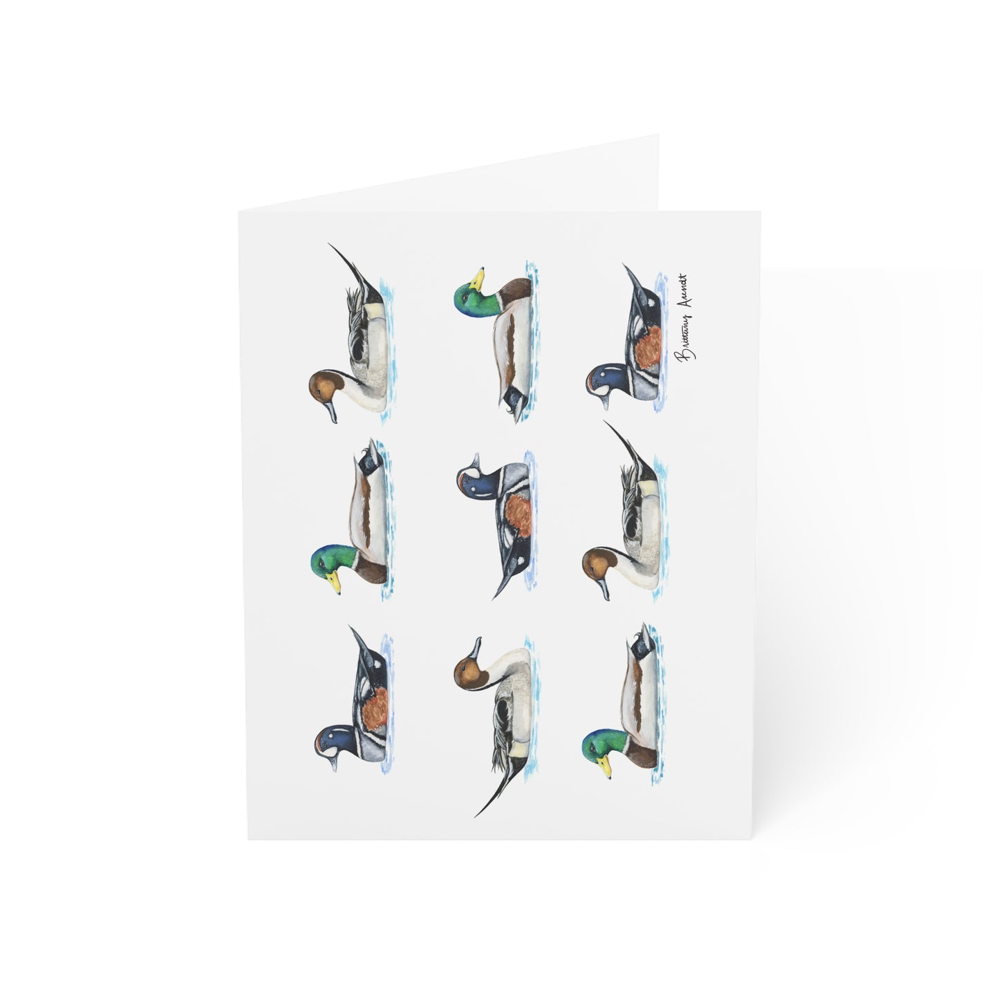 Duck Pattern Note Cards (10 and 30pcs)