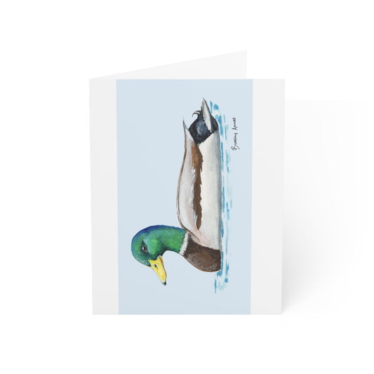 Mallard Note Cards (10 and 30pcs)