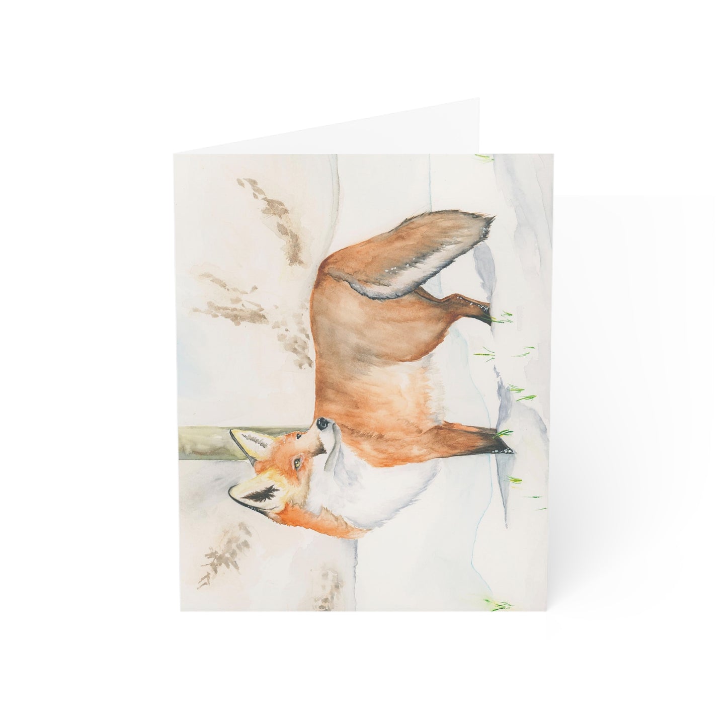 Horizontal Fox Cards (10 and 30pcs)