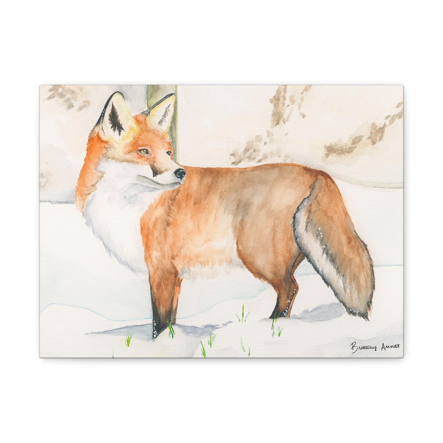 Fox Print Canvas Gallery Wrap