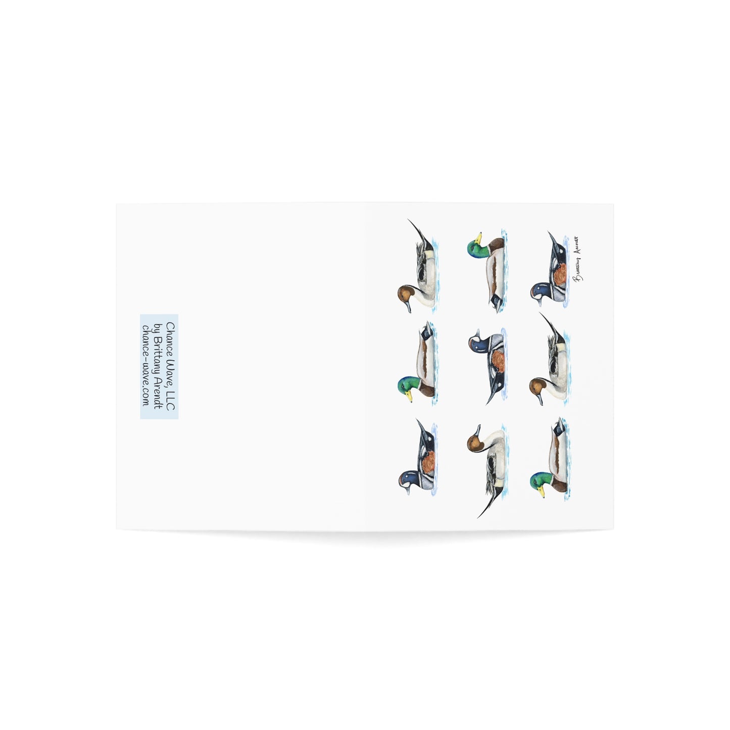 Duck Pattern Note Cards (10 and 30pcs)