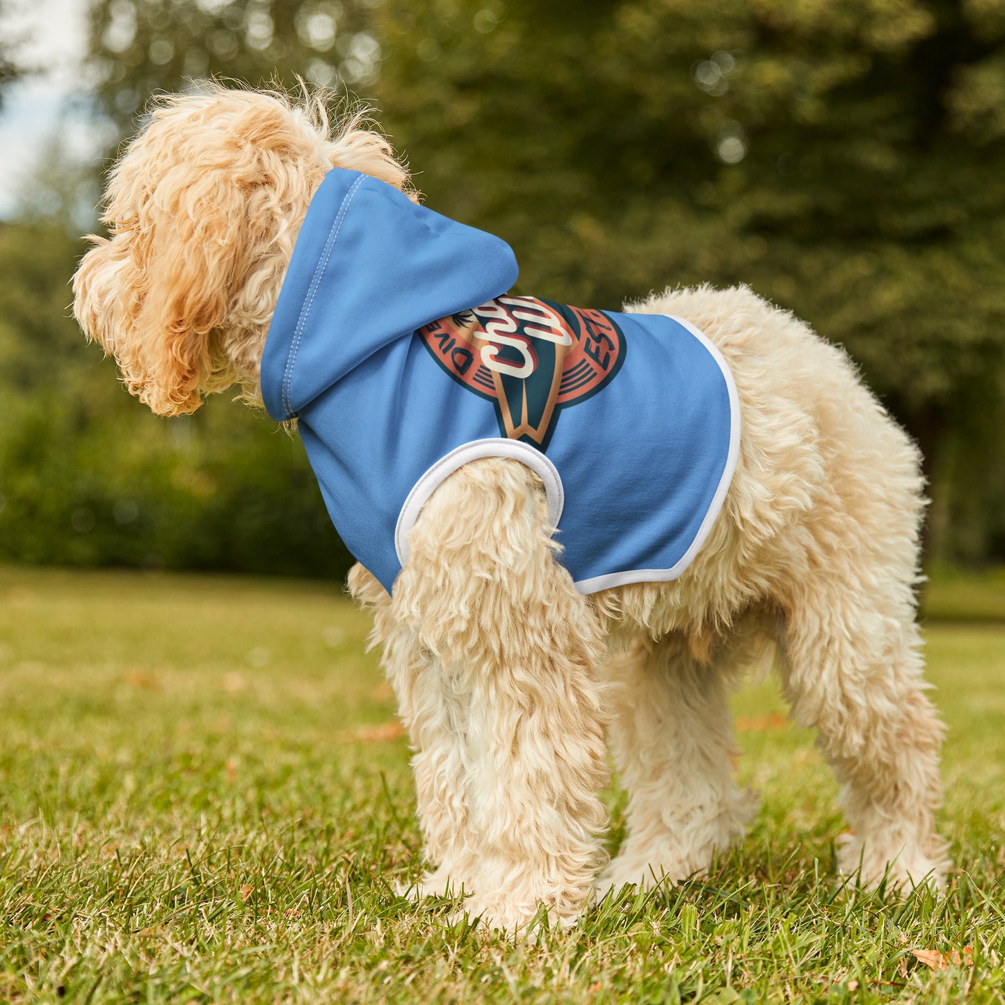 Chance Wave Pet Hoodie